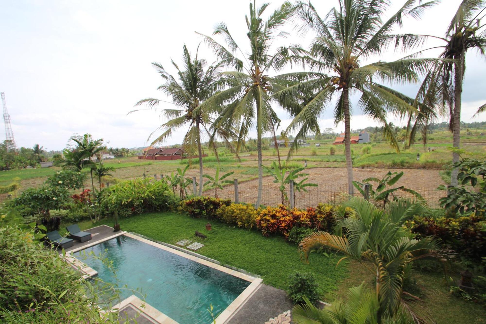 Uma Capung Mas Cottage Ubud Exteriér fotografie