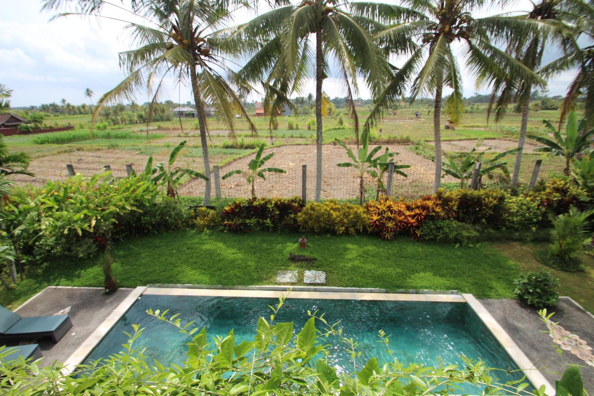 Uma Capung Mas Cottage Ubud Exteriér fotografie