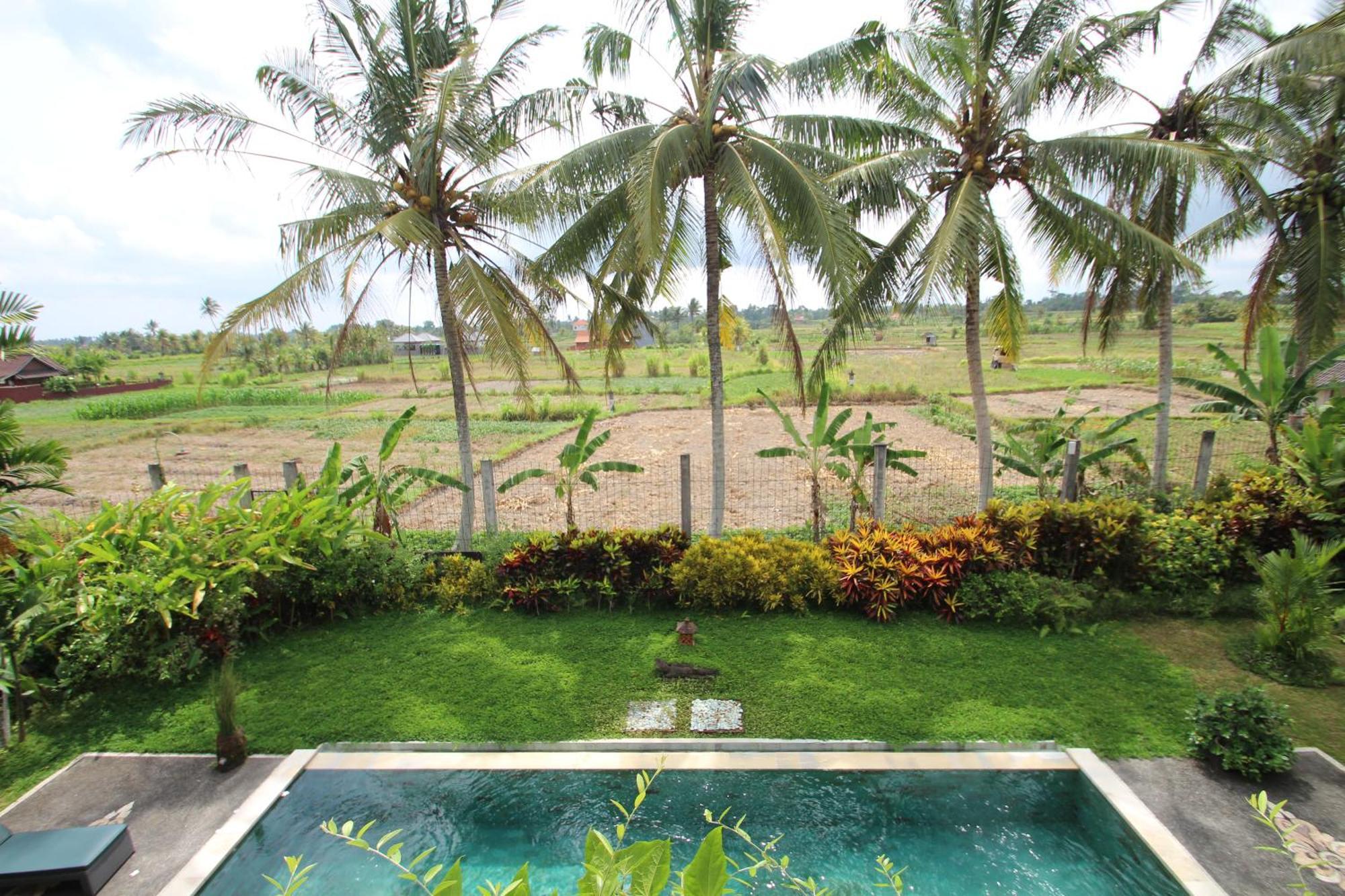 Uma Capung Mas Cottage Ubud Exteriér fotografie