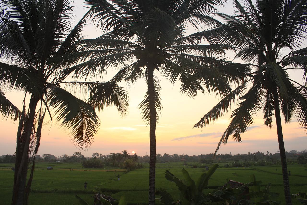 Uma Capung Mas Cottage Ubud Exteriér fotografie
